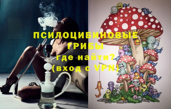 твердый Пенза