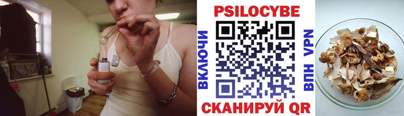 Галлюциногенные грибы Magic Shrooms сколько стоит Нижневартовск